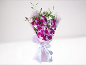 Convey-SF-B010